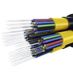 Fiber Optic Cable